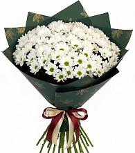 Букет цветов из:  Хризантемы #REPLACE_PRED# Марусино