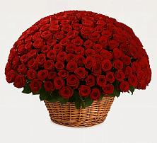 Премиум букет из: Розы в Марусино